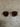 Pinto Sunglasses Champagne/Brown