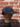 Nylon Cap Black